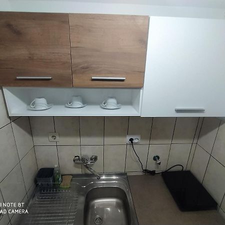 Apartman Studio Pavle I Petra Sremski Karlovci Exteriér fotografie