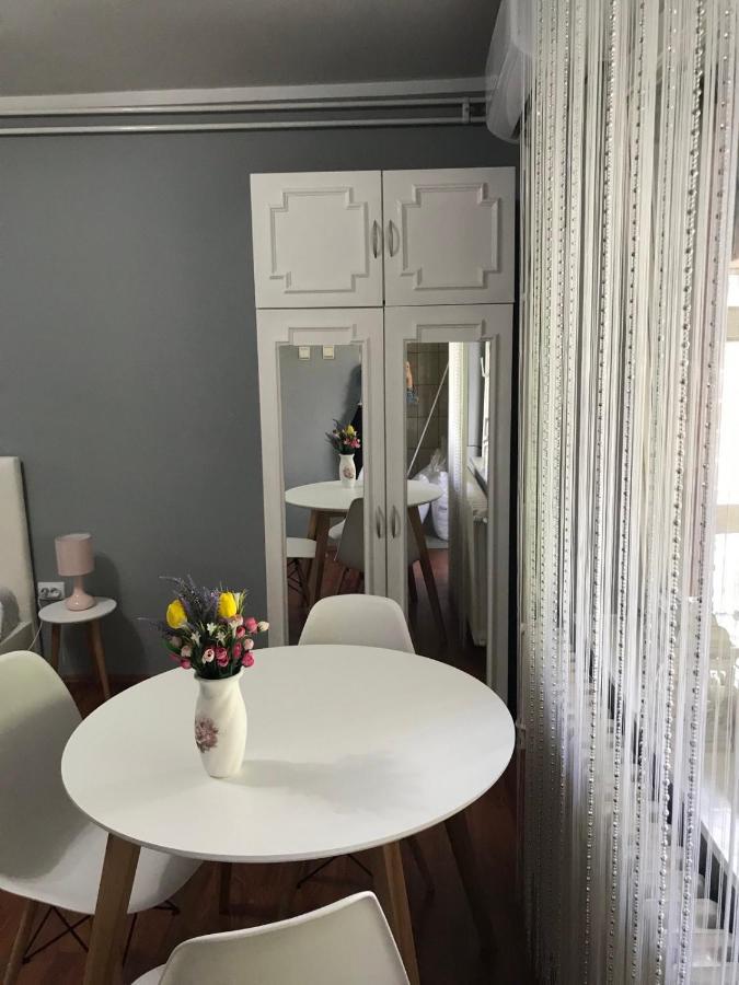Apartman Studio Pavle I Petra Sremski Karlovci Exteriér fotografie
