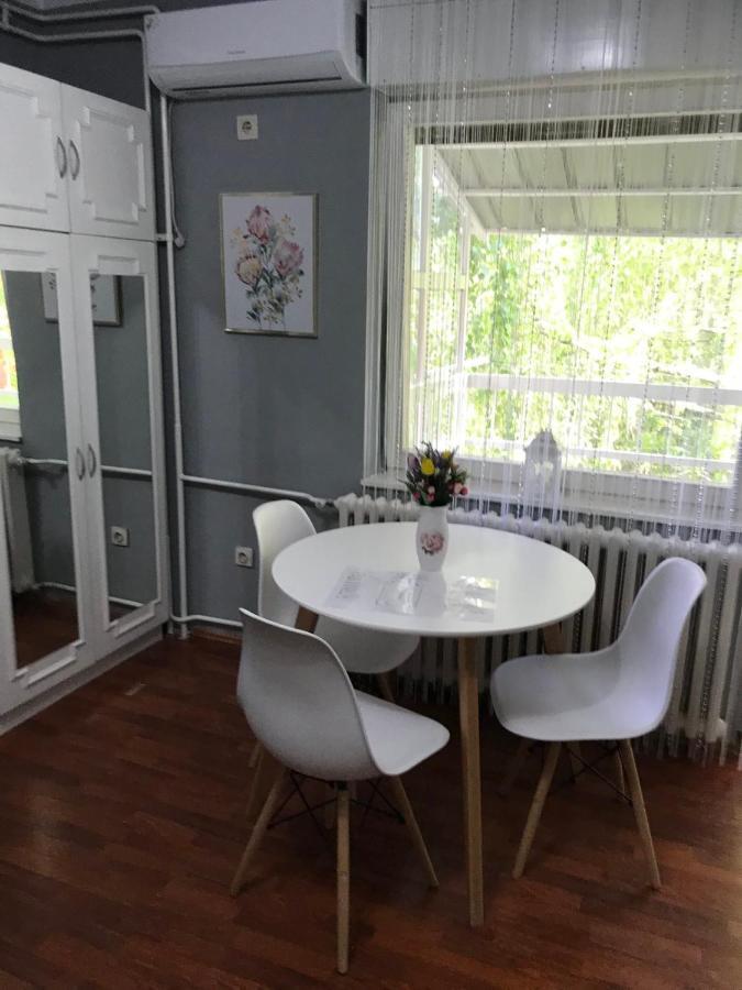 Apartman Studio Pavle I Petra Sremski Karlovci Exteriér fotografie