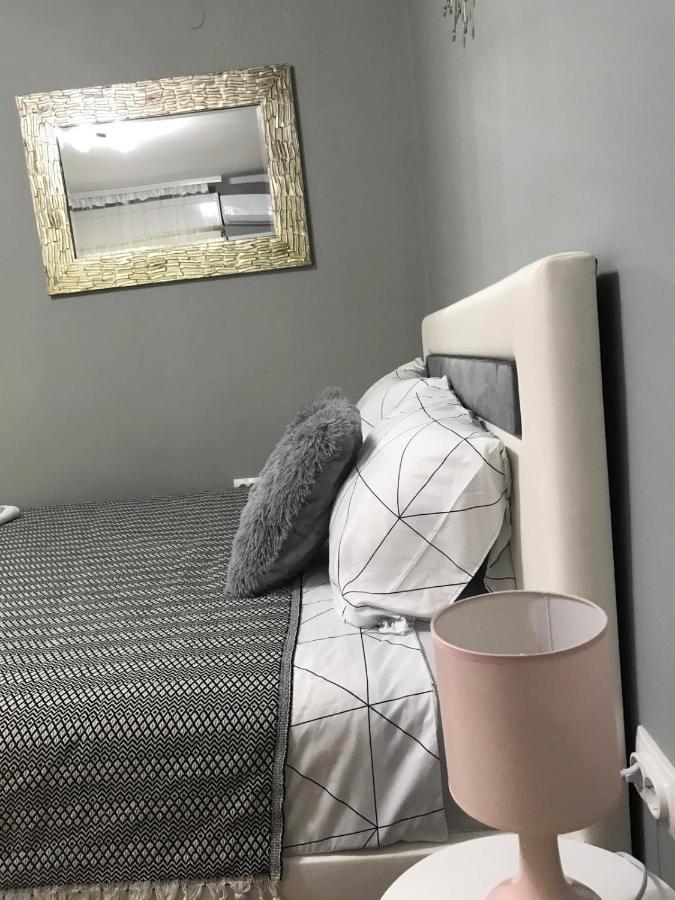 Apartman Studio Pavle I Petra Sremski Karlovci Exteriér fotografie